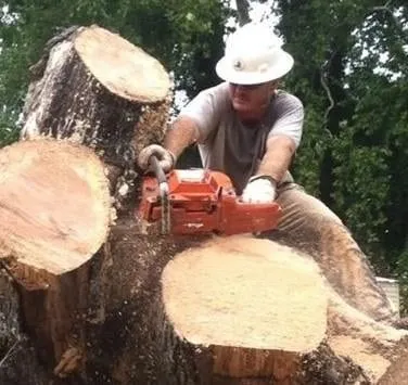 Reliable outdoor landscaping near you across Americus, GA - Simply Southern Tree Care