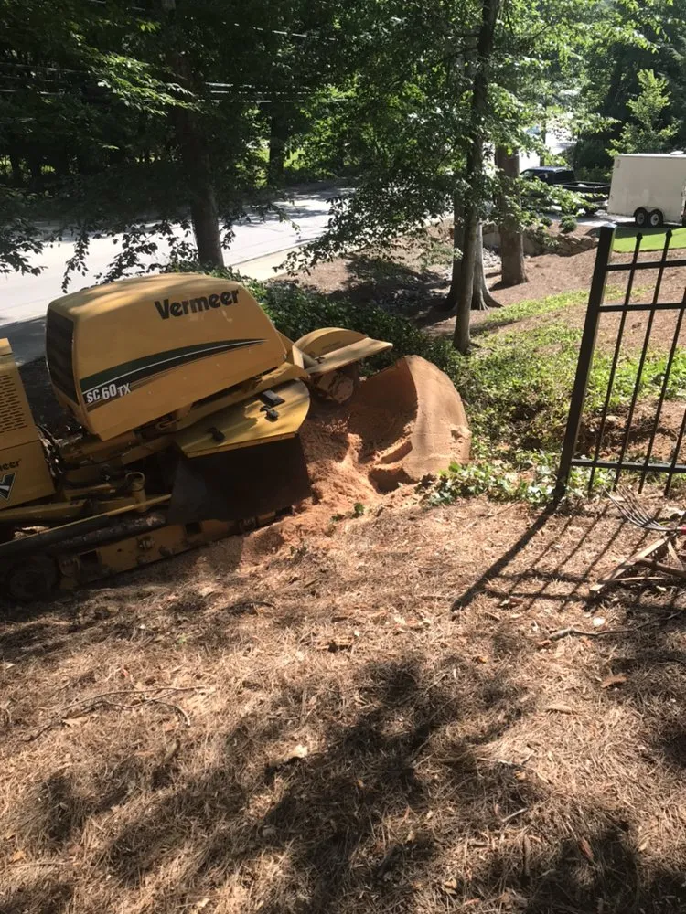 Expert yard cleanup service near you across Smyrna, GA - Simply Stumps Atlanta