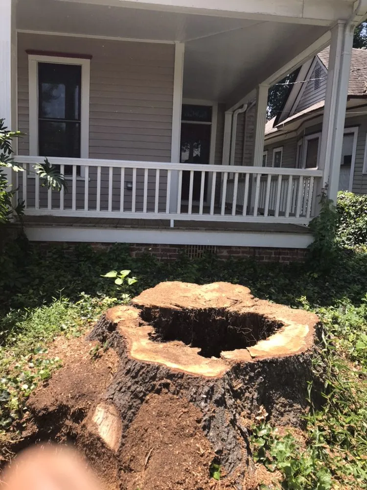 Top-rated lawn care service for year-round maintenance across Smyrna, GA - Simply Stumps Atlanta