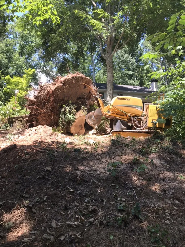 Reliable lawn mowing service in Smyrna, GA by Simply Stumps Atlanta