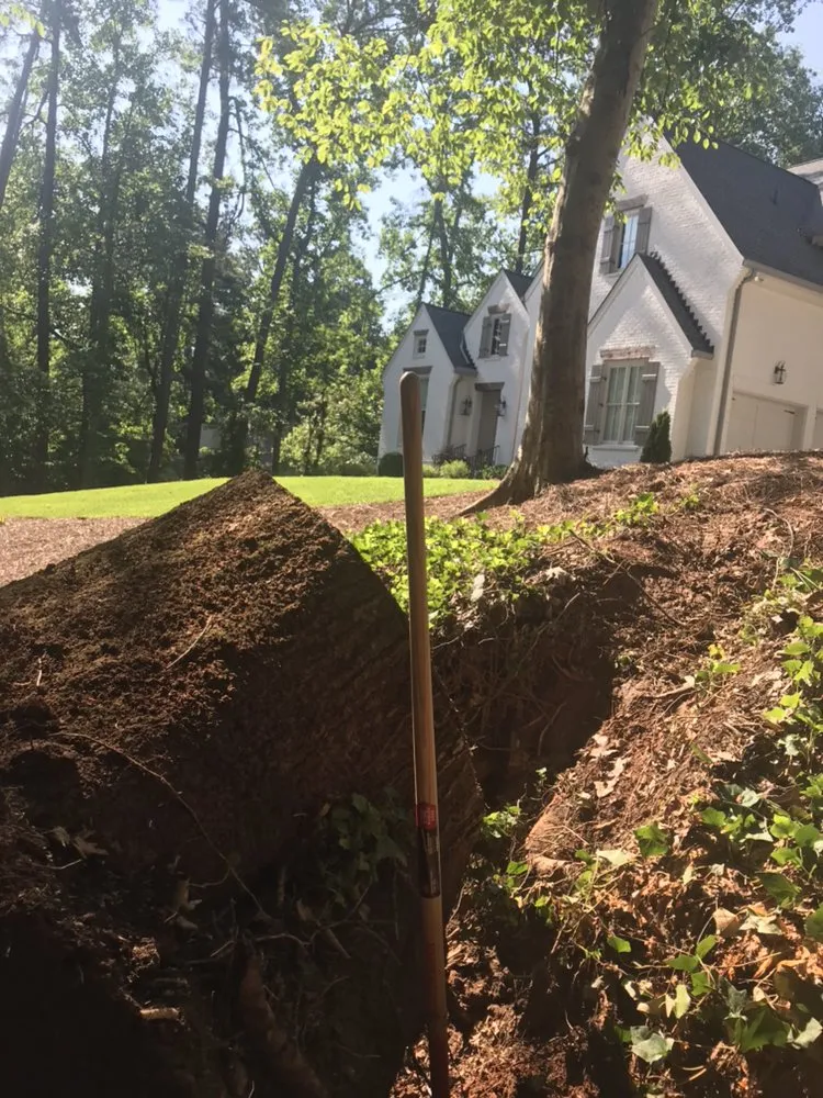 Top-rated landscaping services in Smyrna, GA - Simply Stumps Atlanta