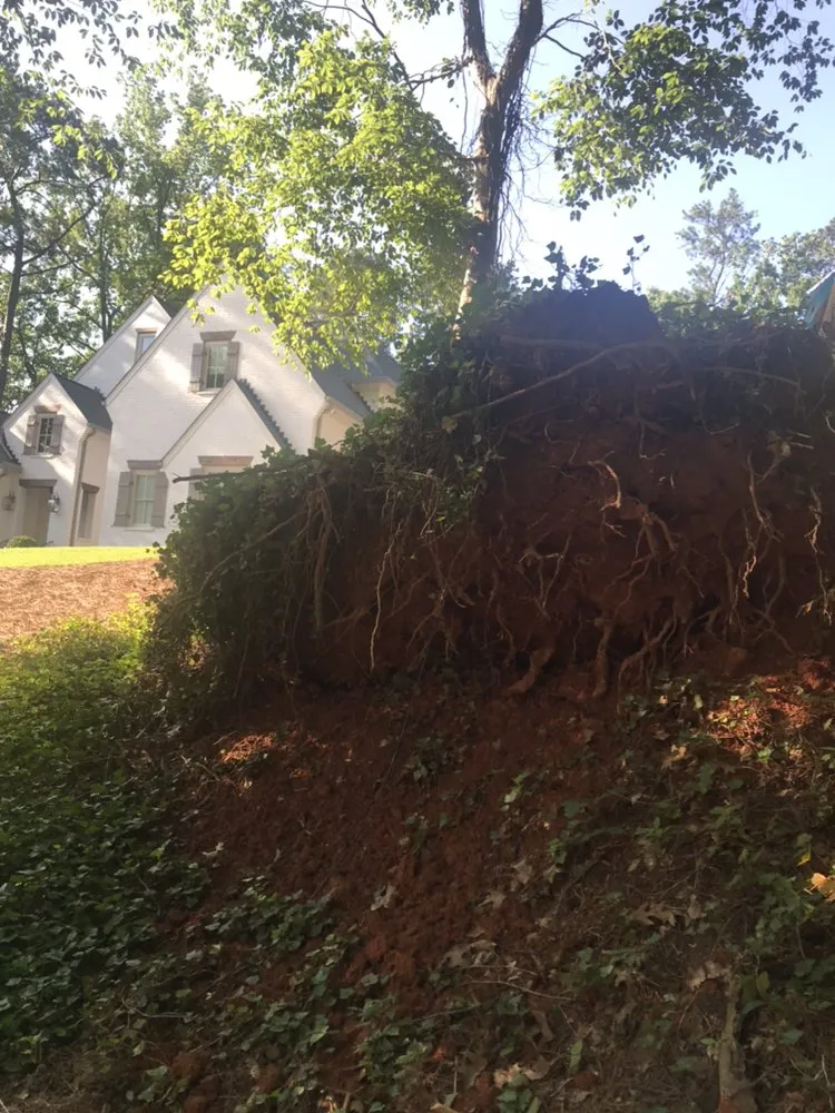 Expert garden landscaping experts serving Smyrna, GA - Simply Stumps Atlanta