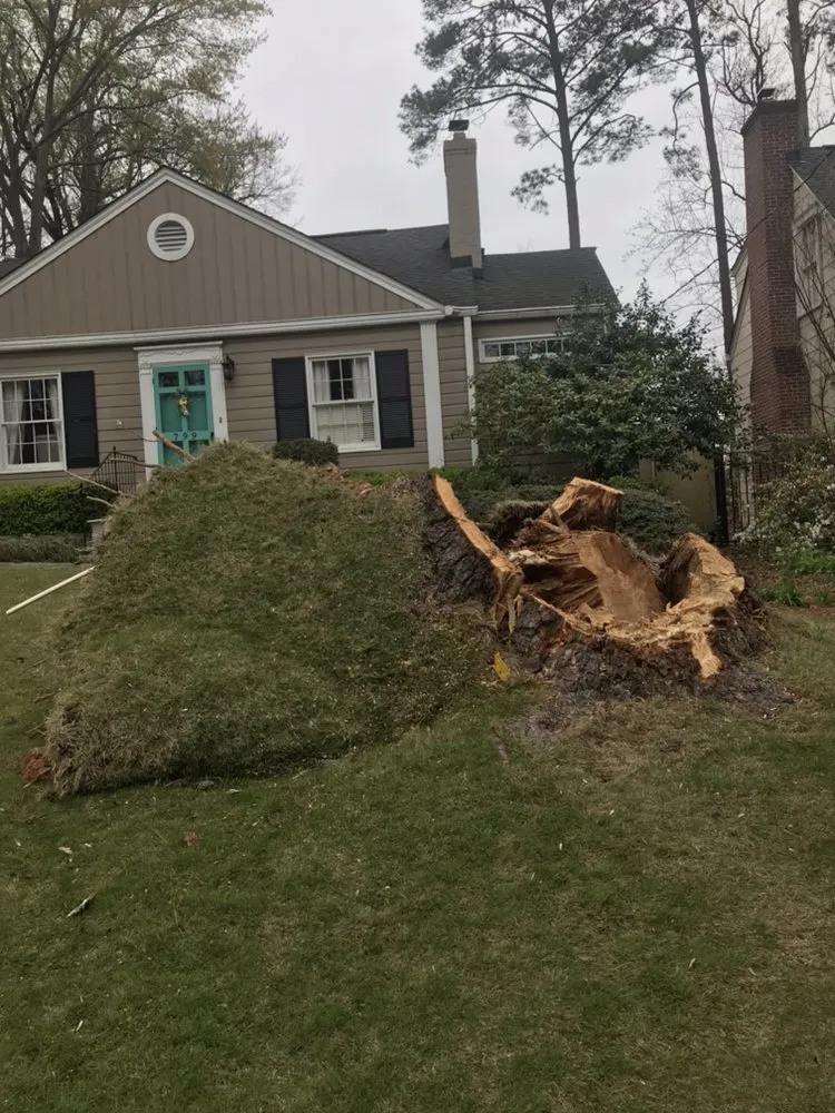Expert garden landscaping in Smyrna, GA - Simply Stumps Atlanta