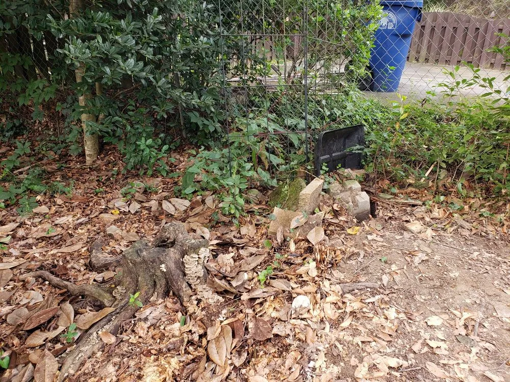 Reliable lawn mowing service in Smyrna, GA by Simply Stumps Atlanta