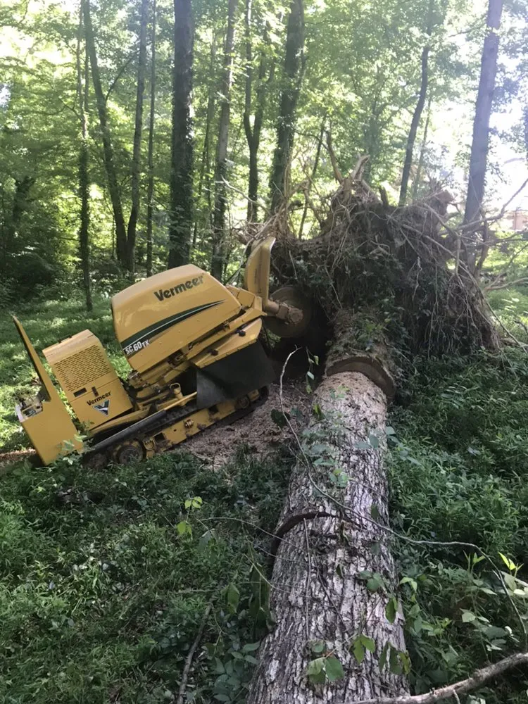 Trusted residential landscaping in Smyrna, GA by Simply Stumps Atlanta