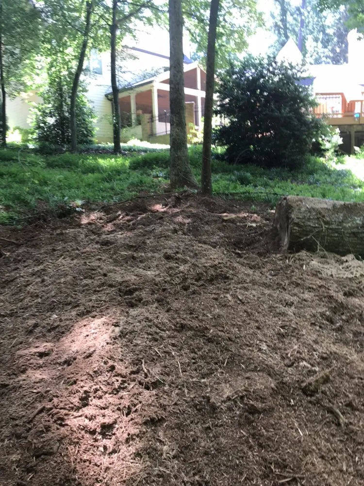 Affordable landscape design in Smyrna, GA by Simply Stumps Atlanta