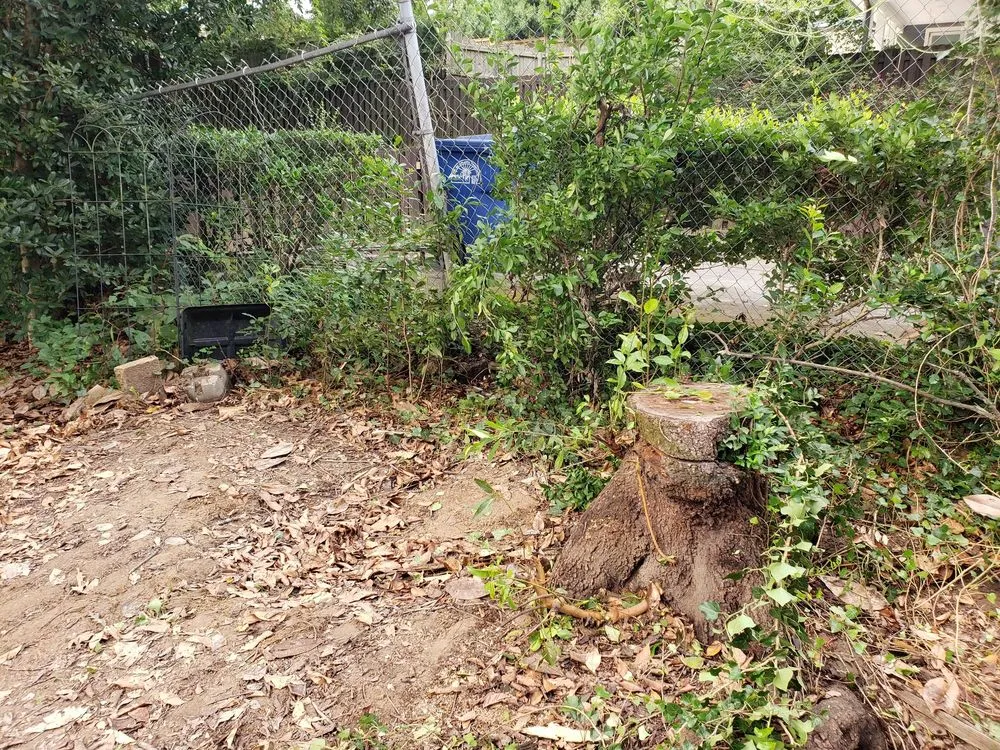 Top-rated outdoor landscaping experts serving Smyrna, GA - Simply Stumps Atlanta