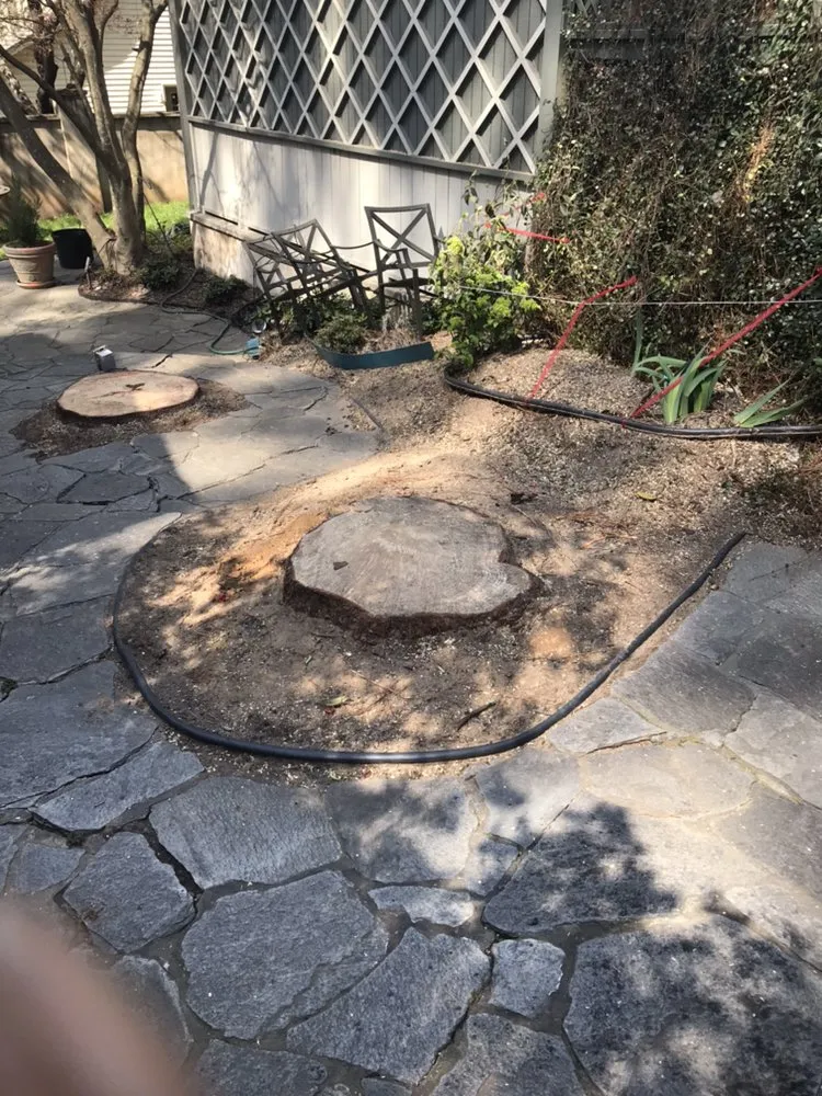 Trusted landscape installation with custom design across Smyrna, GA - Simply Stumps Atlanta