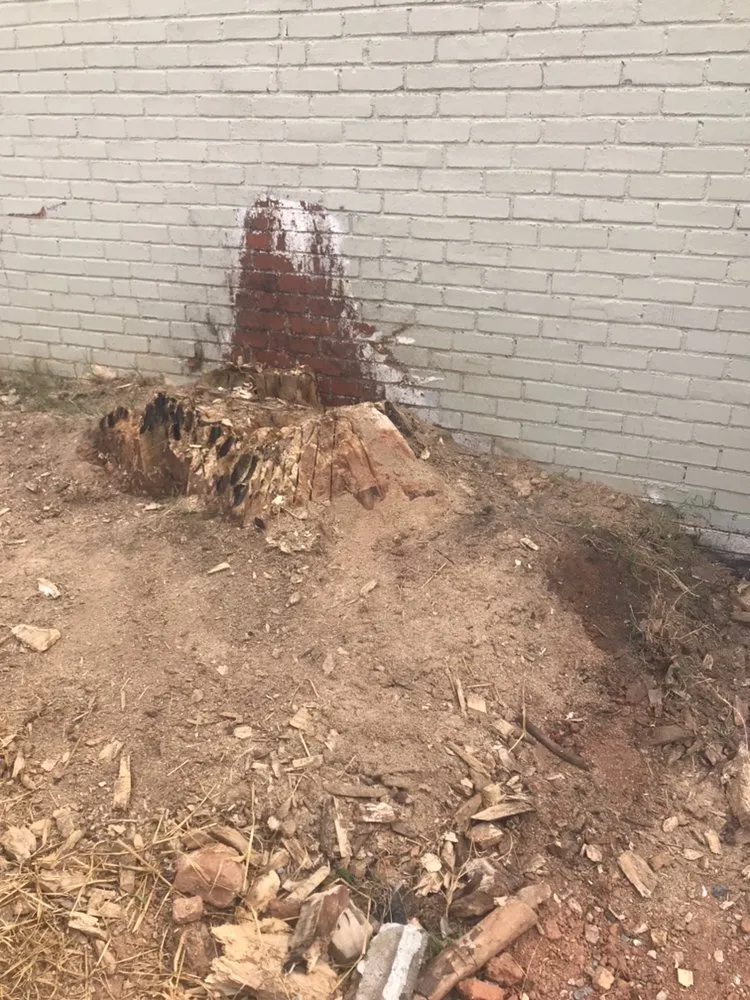 Trusted landscape installation in Smyrna, GA by Simply Stumps Atlanta