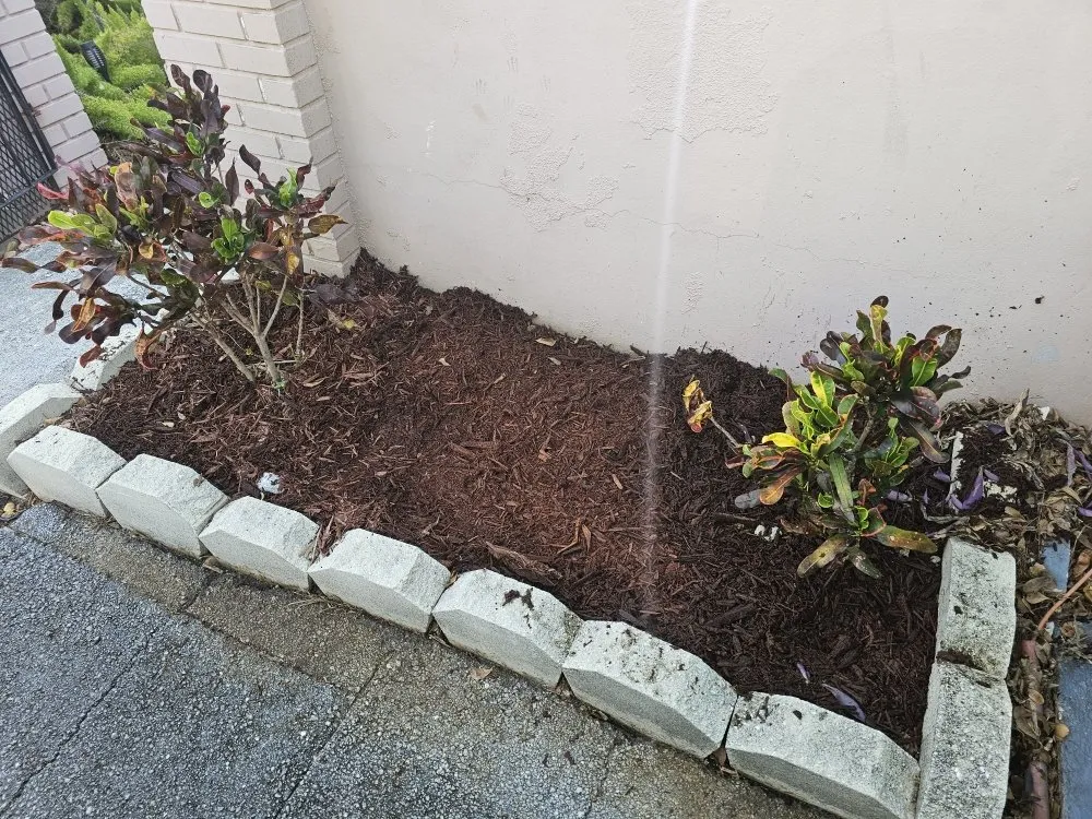 Trusted outdoor landscaping near you in Miami, FL by Simply The Best Lawn & Landscaping