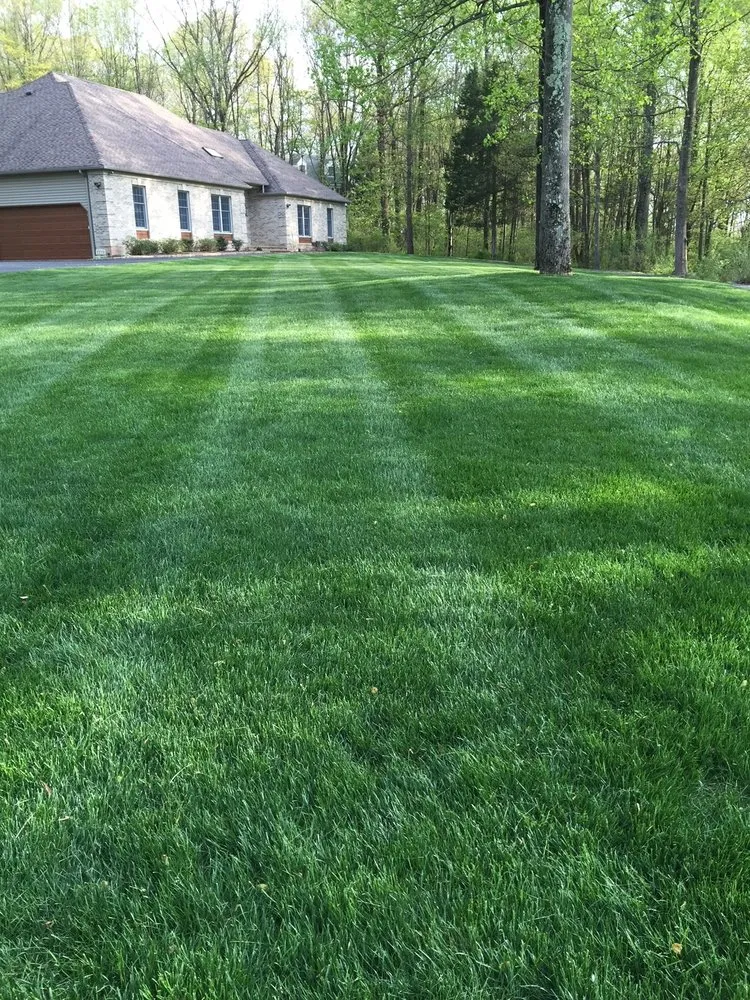Affordable residential landscaping for outdoor upgrades in Pequannock Township, NJ by Simply The Best Lawns