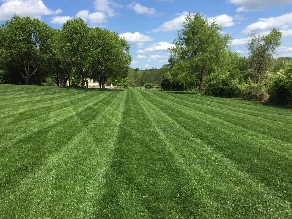 Affordable yard maintenance experts serving Pequannock Township, NJ - Simply The Best Lawns