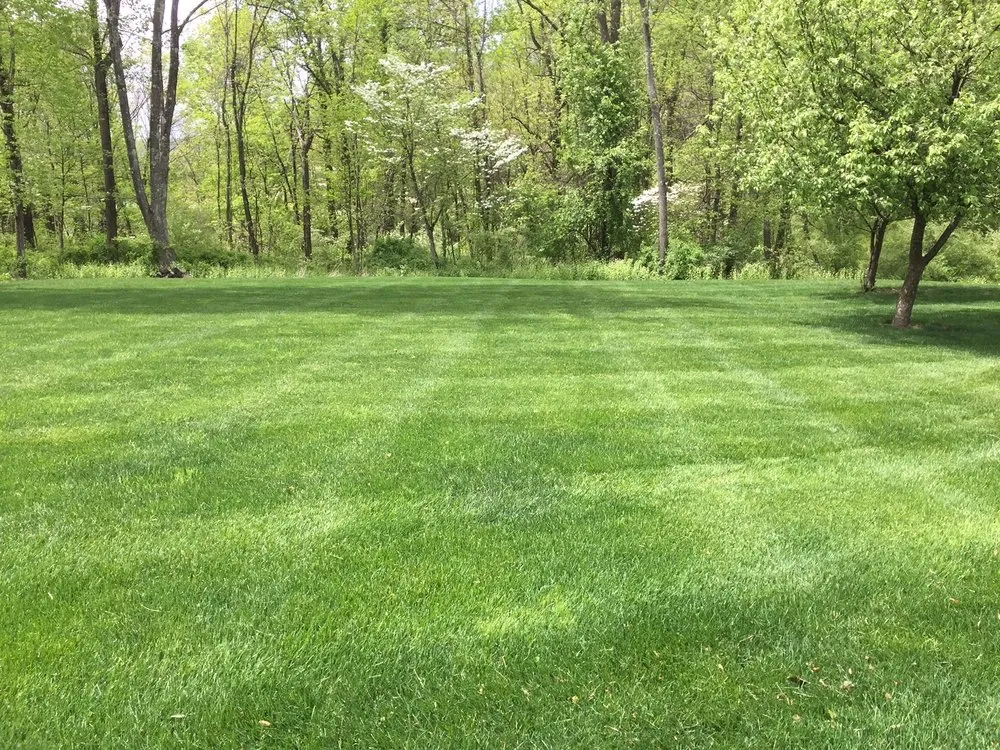 Local yard cleanup service in Pequannock Township, NJ - Simply The Best Lawns