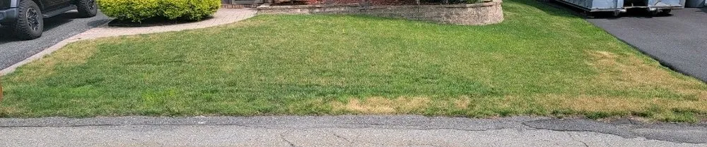 Expert landscape design experts serving Pequannock Township, NJ - Simply The Best Lawns