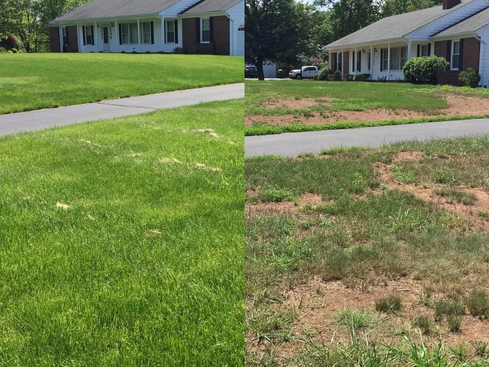 Top-rated landscaping services in Pequannock Township, NJ by Simply The Best Lawns