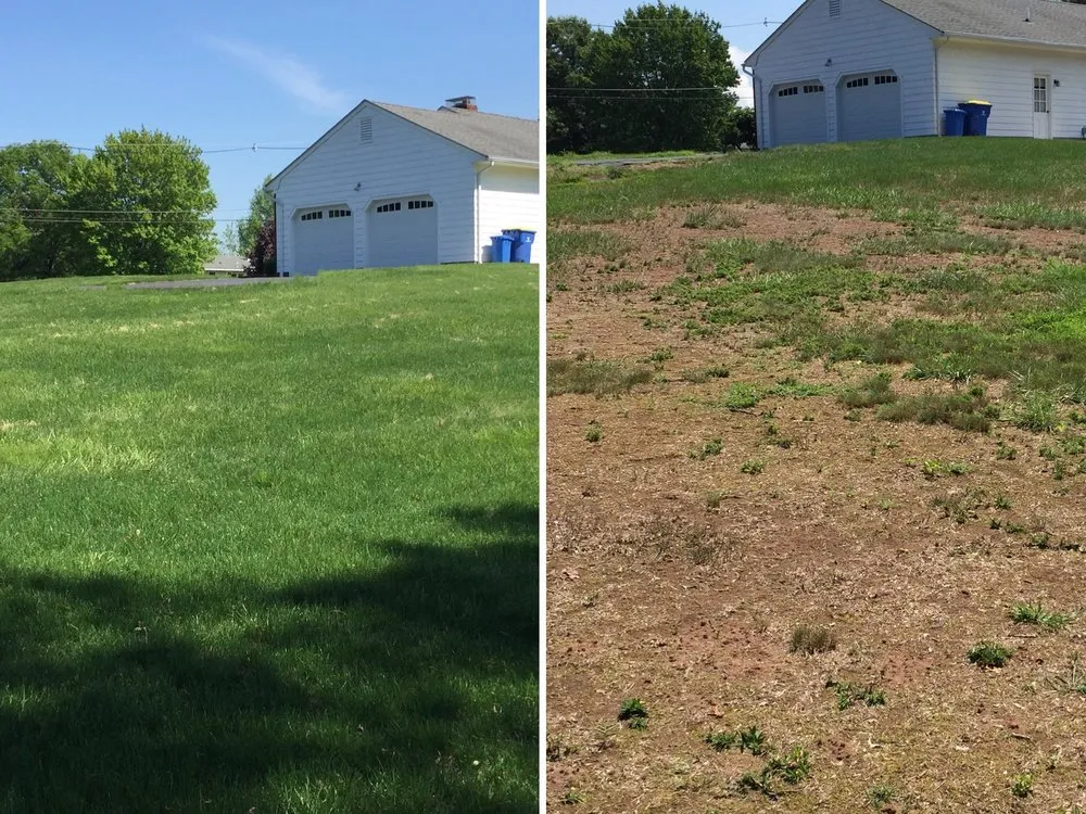 Expert landscape design for beautiful yards in Pequannock Township, NJ by Simply The Best Lawns