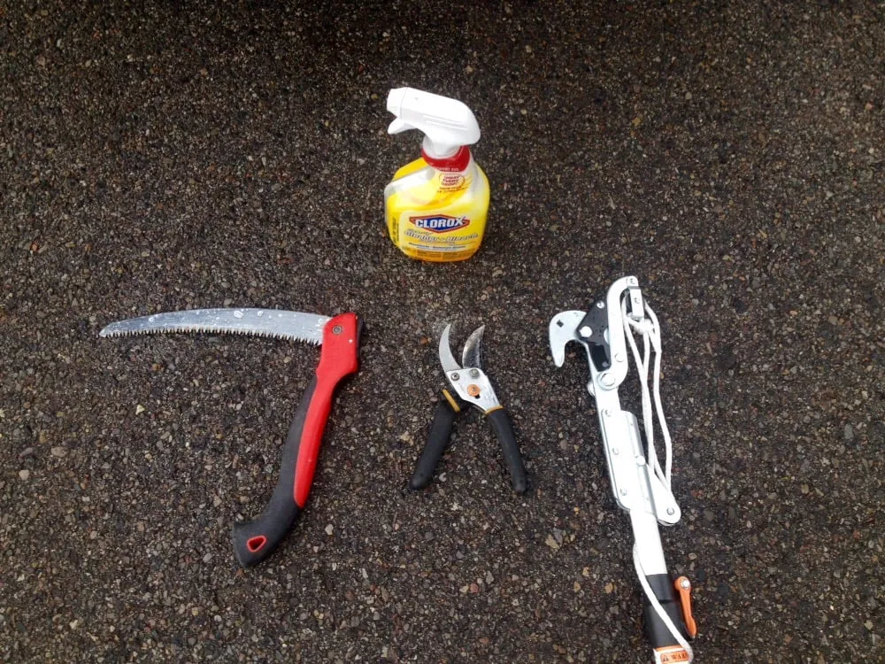 Top-rated yard maintenance in Magna, UT - Simply Trees