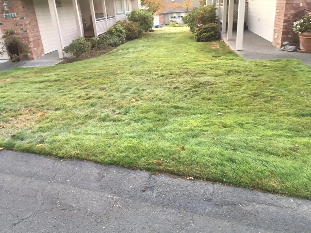 Local landscaping services for beautiful yards across Anacortes, WA - Simply Yards Landscape
