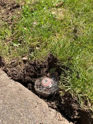 Simply Yards Landscape