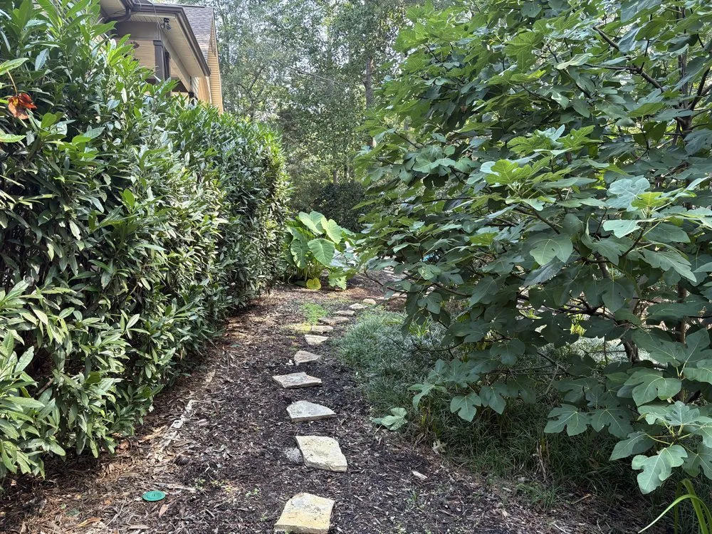 Local yard maintenance in Westminster, SC - Simpson landscape and lawn care