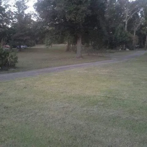 Custom lawn care service for year-round maintenance across Nacogdoches, TX - Simpson Lawn & Pressure Washing