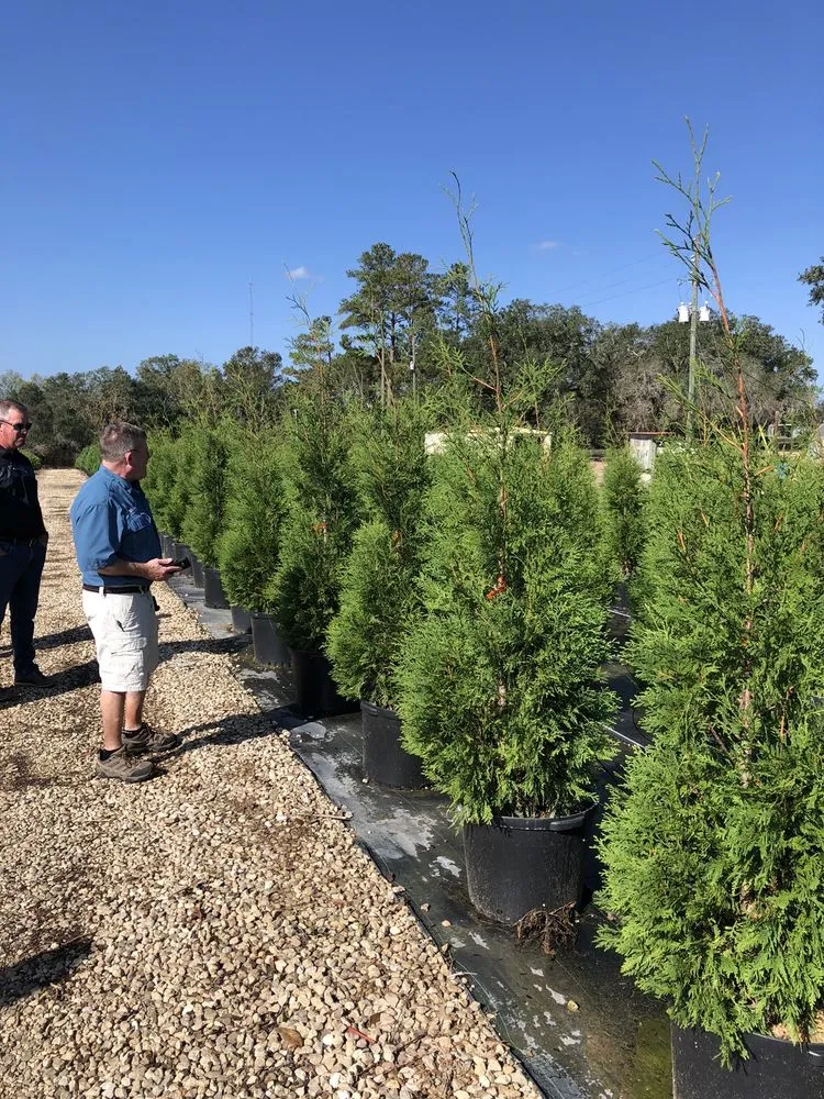 Professional landscaping services in Monticello, FL - Simpson Nurseries