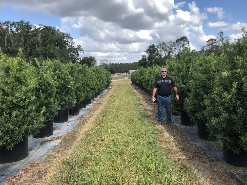 Affordable outdoor landscaping in Monticello, FL by Simpson Nurseries