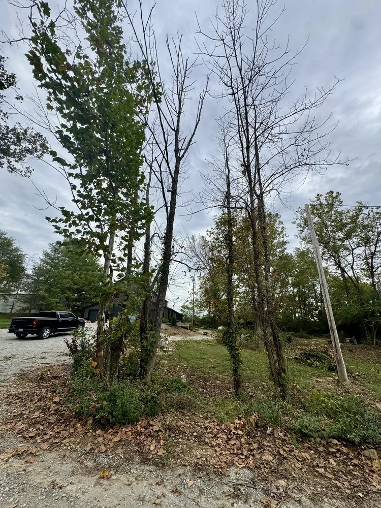 Affordable yard cleanup service in Russellville, OH by Simpson Property Maintenance