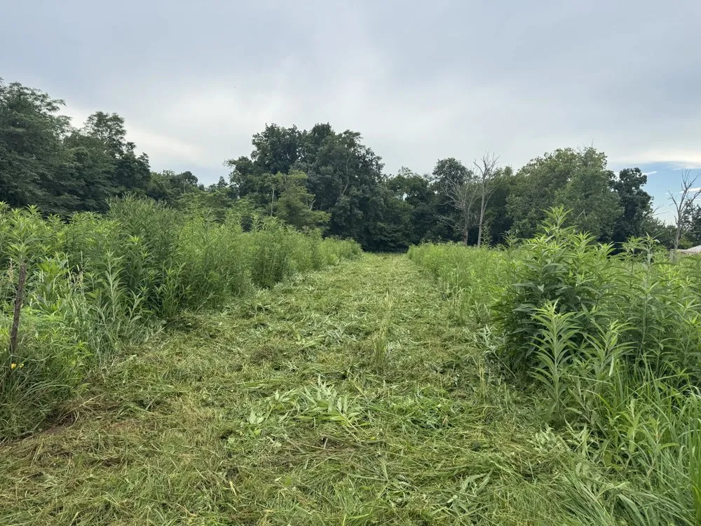 Expert landscape design in Russellville, OH - Simpson Property Maintenance