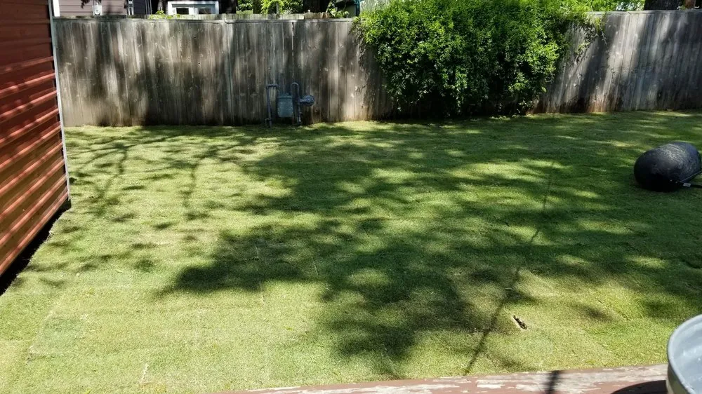 Trusted residential landscaping for year-round maintenance across Bedford, TX - Sims Grass