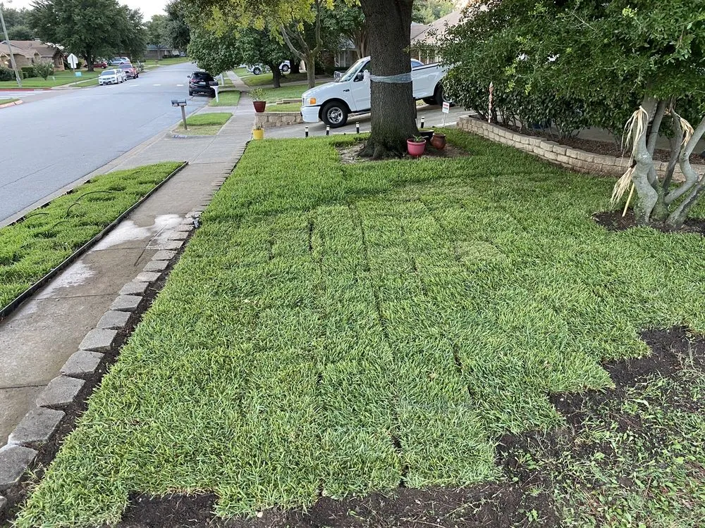 Affordable landscaping services for homes in Bedford, TX by Sims Grass