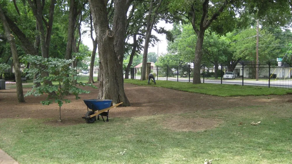 Top-rated yard maintenance experts serving Bedford, TX - Sims Grass