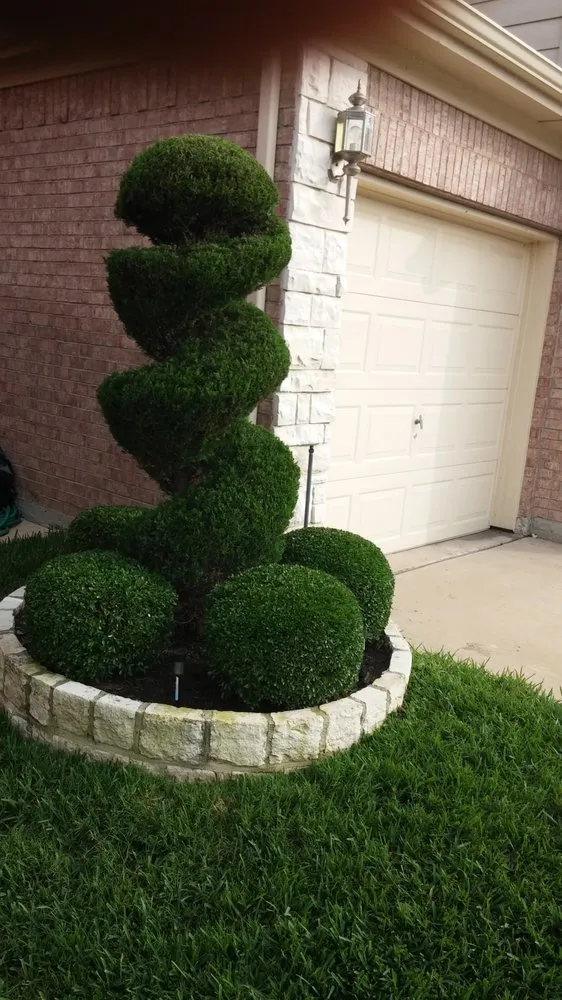 Top-rated lawn care service experts serving Arlington, TX - Sims Landscaping And Sprinkler Systems