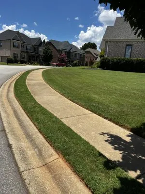 Sims landscaping Logo