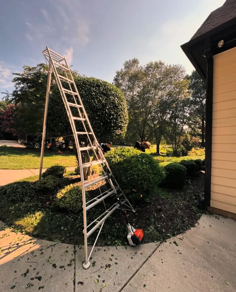 Affordable landscape installation for homes across Olive Branch, MS - Sims Outdoor Services