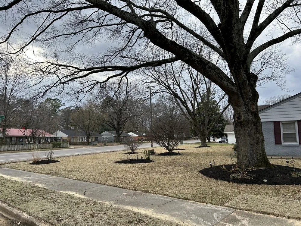 Trusted landscaping services experts serving Olive Branch, MS - Sims Outdoor Services