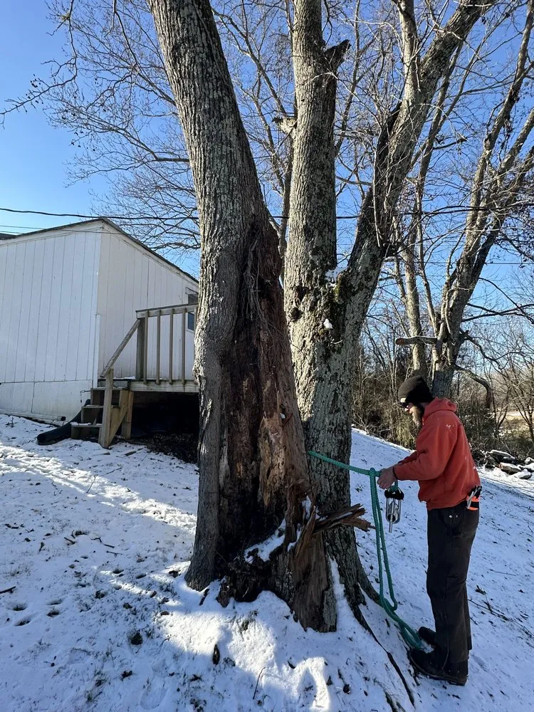 Trusted yard maintenance in Surgoinsville, TN - Sims Tree Pros