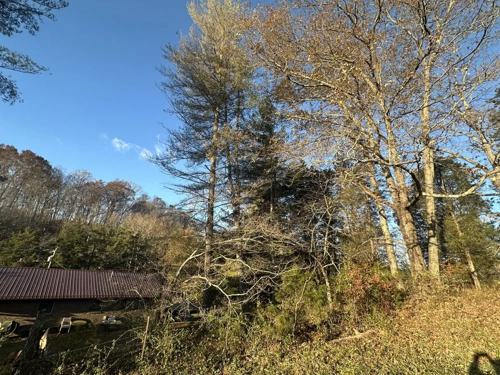 Professional landscaping services in Surgoinsville, TN by Sims Tree Pros