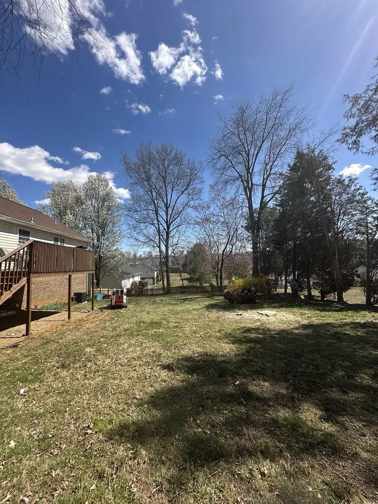 Custom residential landscaping for beautiful yards across Surgoinsville, TN - Sims Tree Pros