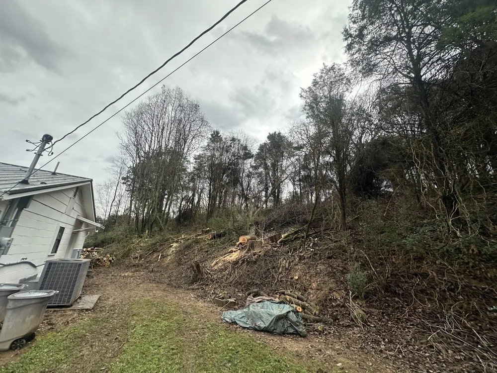 Local landscape installation for homes across Surgoinsville, TN - Sims Tree Pros