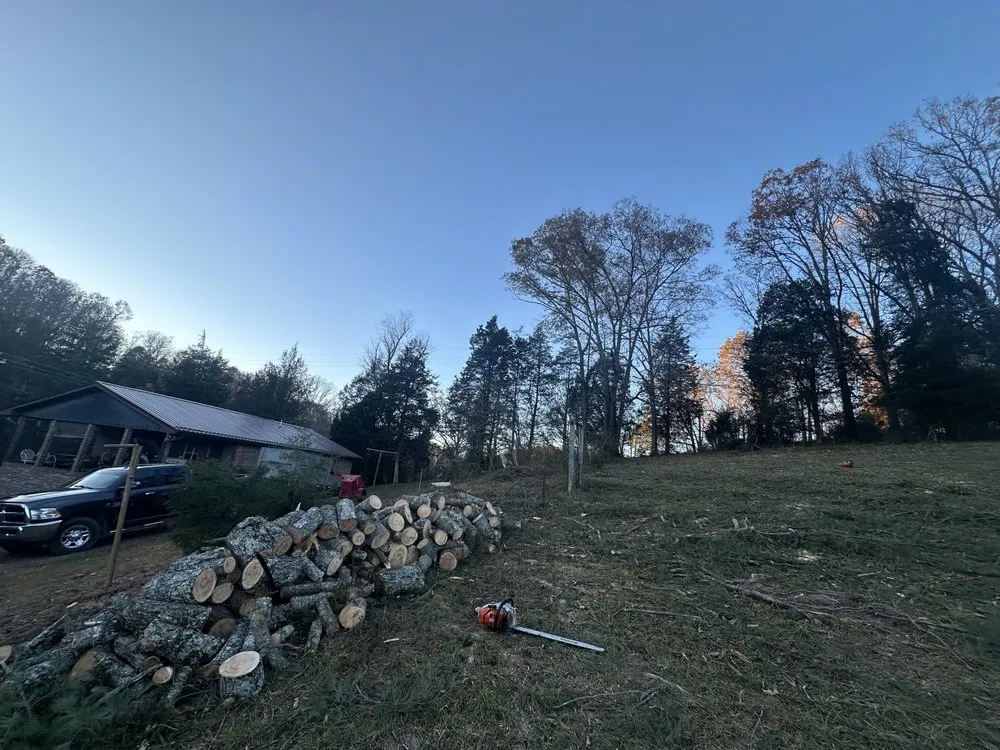 Affordable outdoor landscaping for beautiful yards across Surgoinsville, TN - Sims Tree Pros