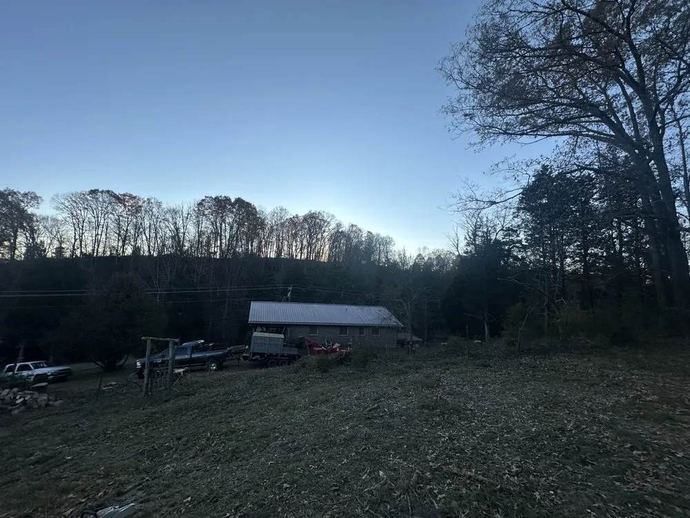 Reliable yard cleanup service for beautiful yards across Surgoinsville, TN - Sims Tree Pros