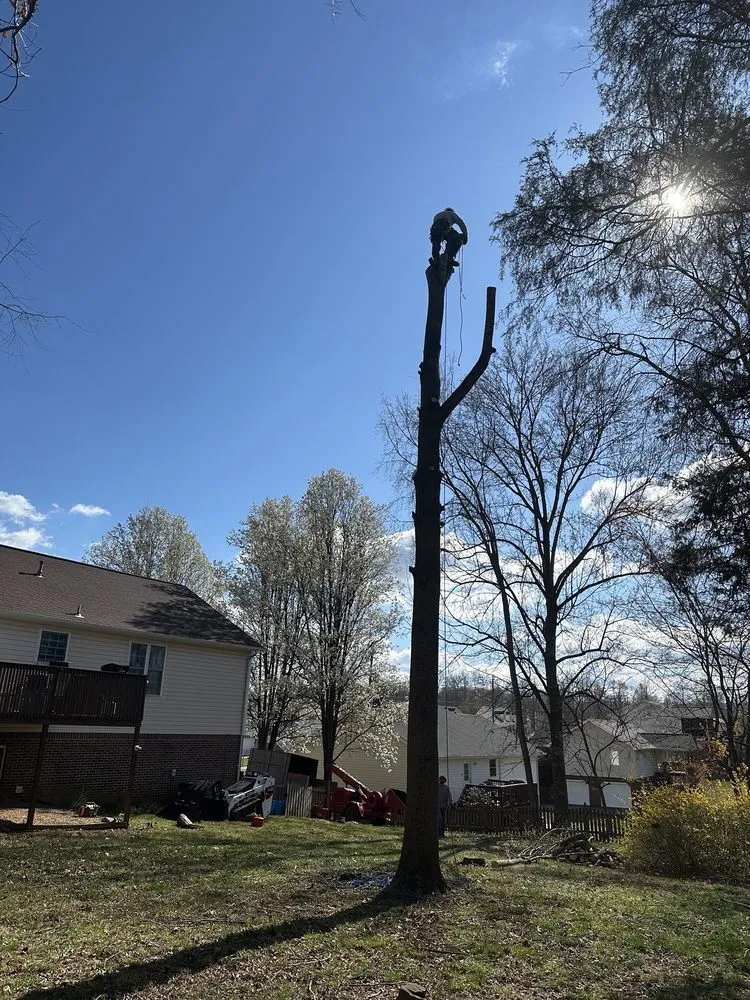 Custom garden landscaping for year-round maintenance in Surgoinsville, TN by Sims Tree Pros