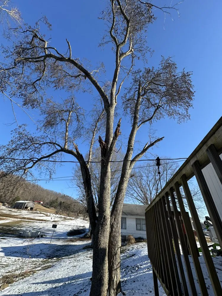 Local residential landscaping in Surgoinsville, TN - Sims Tree Pros