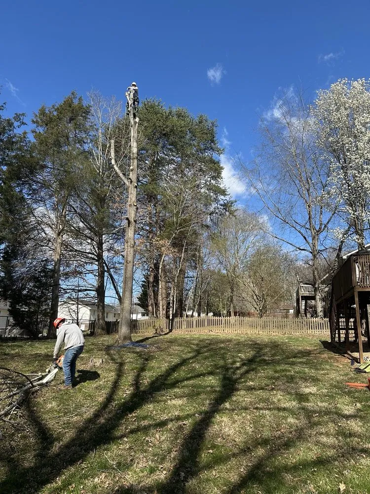 Trusted lawn mowing service for homes in Surgoinsville, TN by Sims Tree Pros