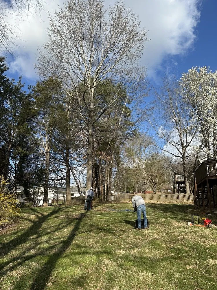 Trusted yard cleanup service with custom design in Surgoinsville, TN by Sims Tree Pros