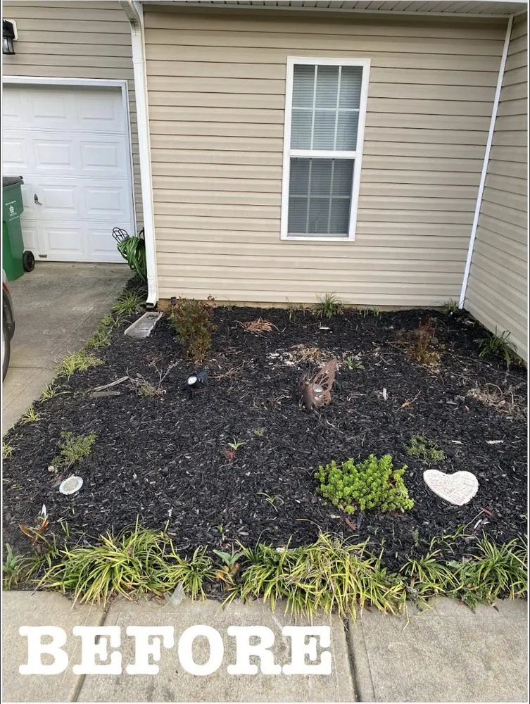 Affordable lawn care service near you in Mint Hill, NC by SIMSA Services