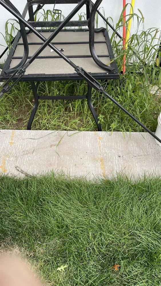 Trusted yard cleanup service in Eau Claire, WI by Sin fronteras