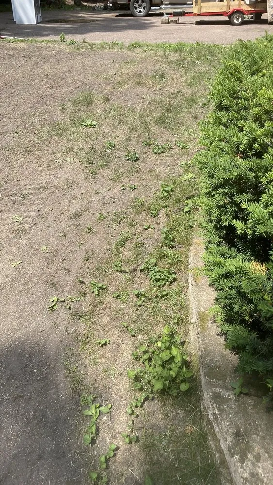 Local landscaping services experts serving Eau Claire, WI - Sin fronteras