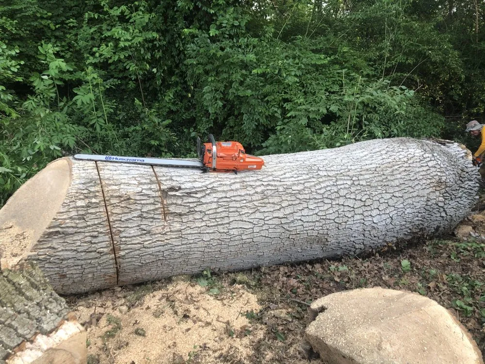 Custom garden landscaping experts serving Louisville, KY - Sinai lawn care